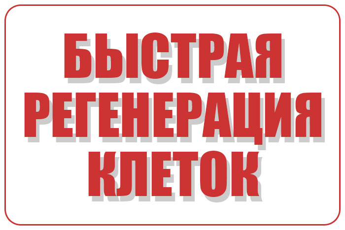 Быстрая регенерация клеток